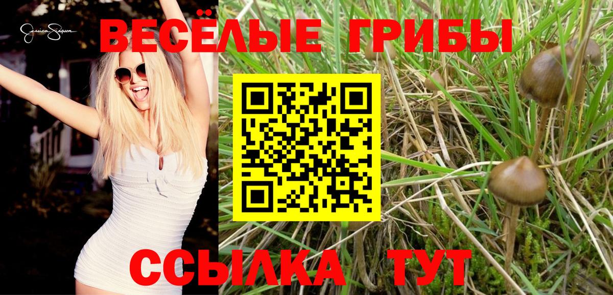 Иваново  Галлюциногенные грибы мухоморы  Вход с VPN 